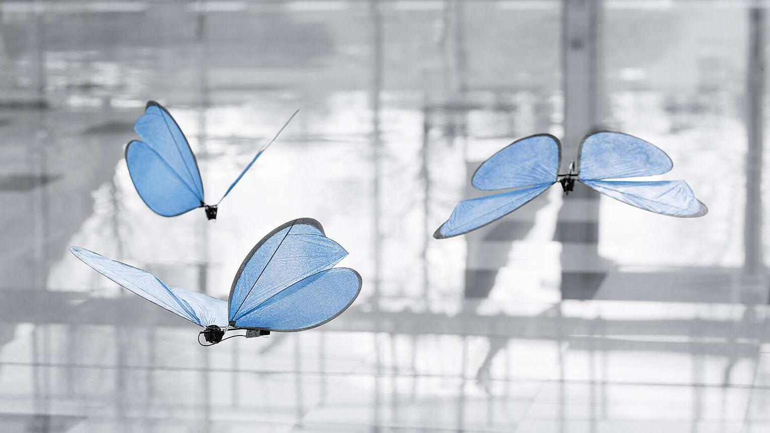 Butterfly-tech